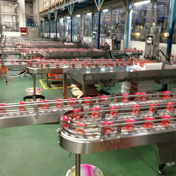 factory supply flexible chain conveyor design of conveyor system for food & beverages industry